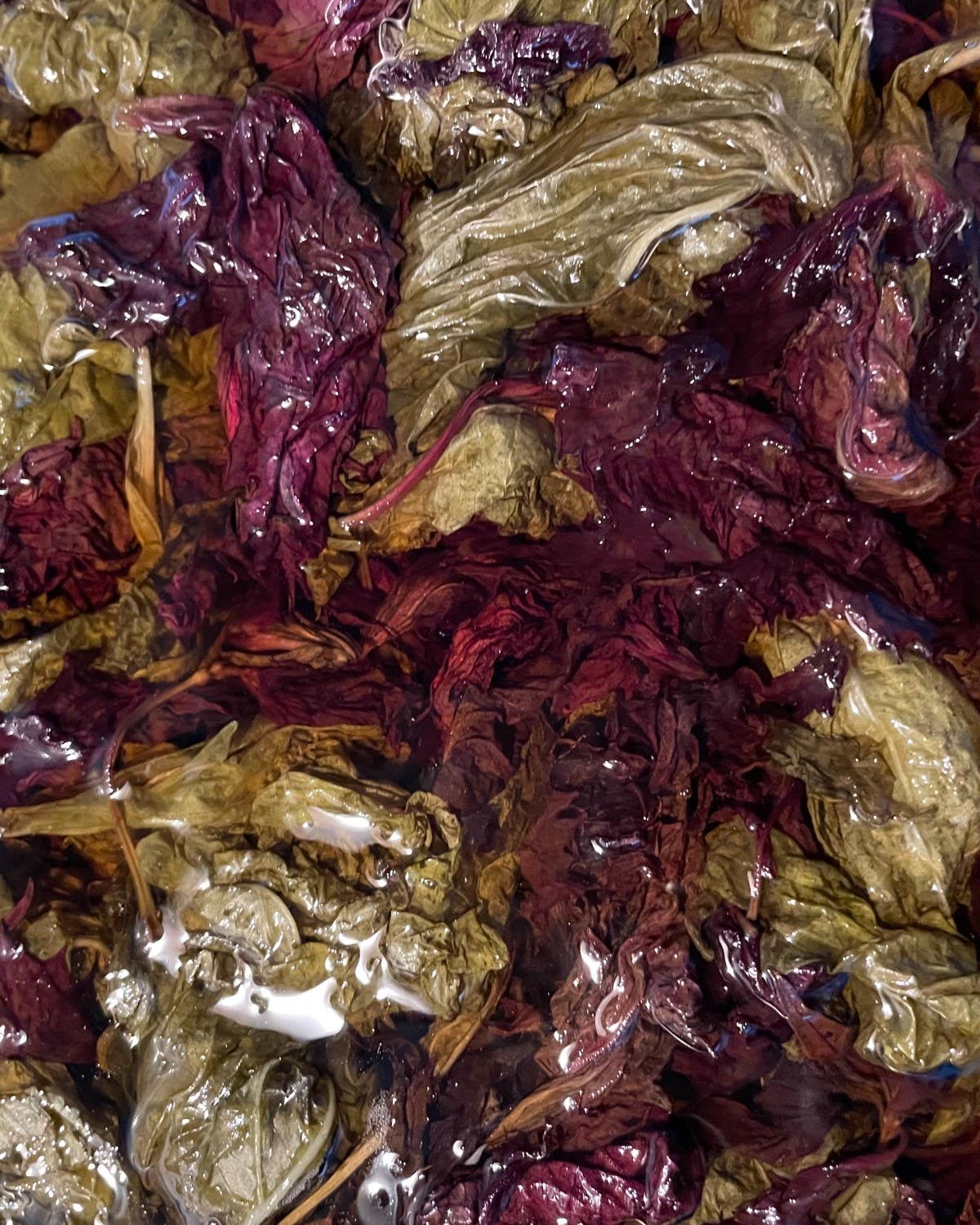 Showcase Your End-of-Season Aromatics in Cosme’s Herbal Elixir Aromatic late season shrubs from shiso leaves