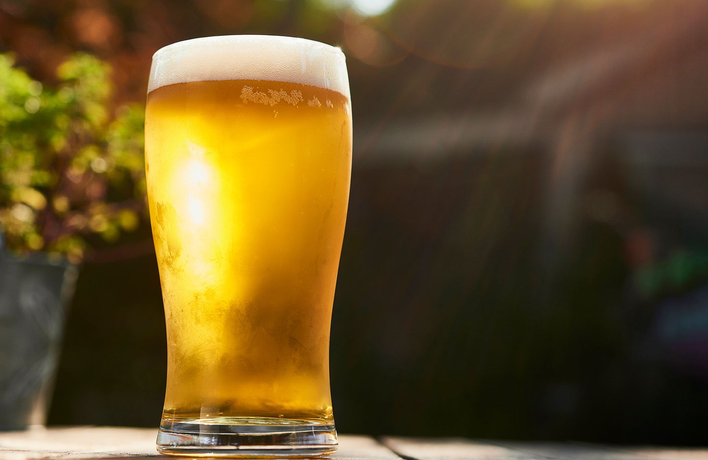 Beer Glass