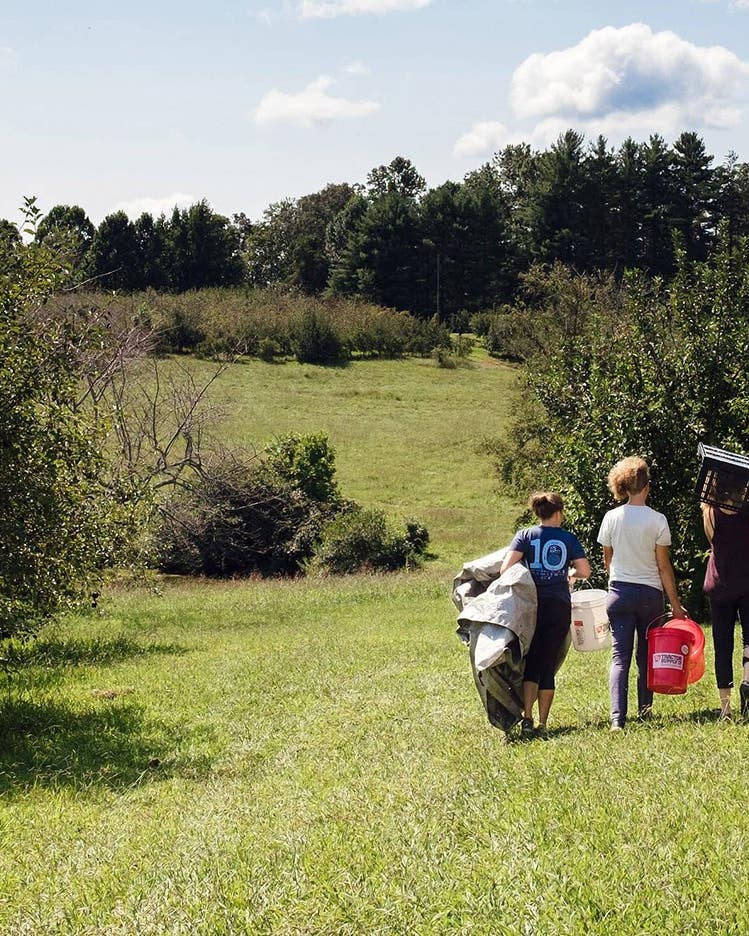 For This Atlanta Non-Profit, Ripe Produce Is Everyone’s Right—Here’s How They Connect Foragers to Fruit Concrete Jungle Tiger Apple Picking