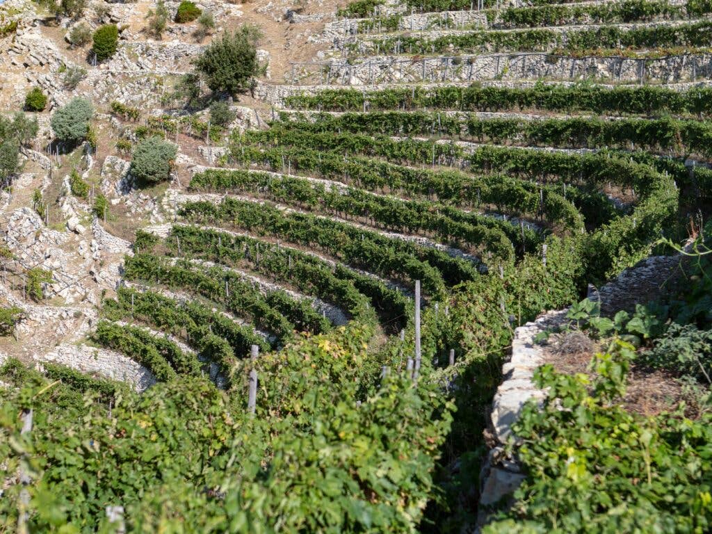Rocky Terraces for Ligurian Wine Vineyards