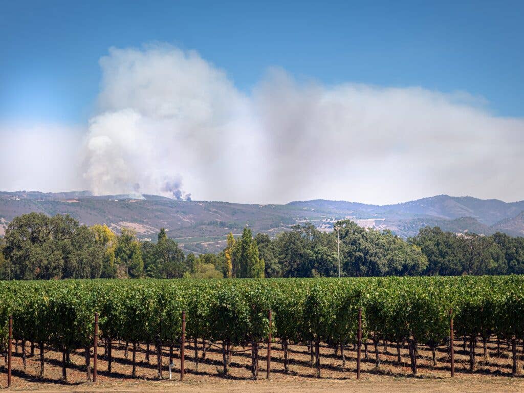 California Chardonnay Post &amp; Beam