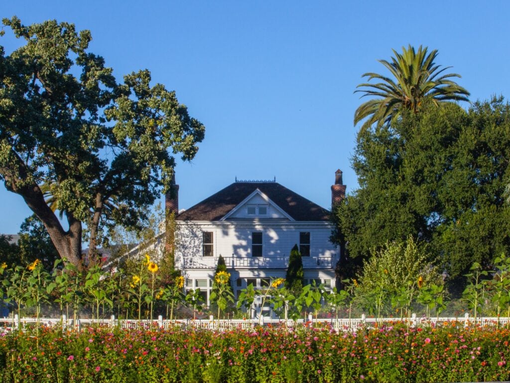 California Chardonnay wine estate