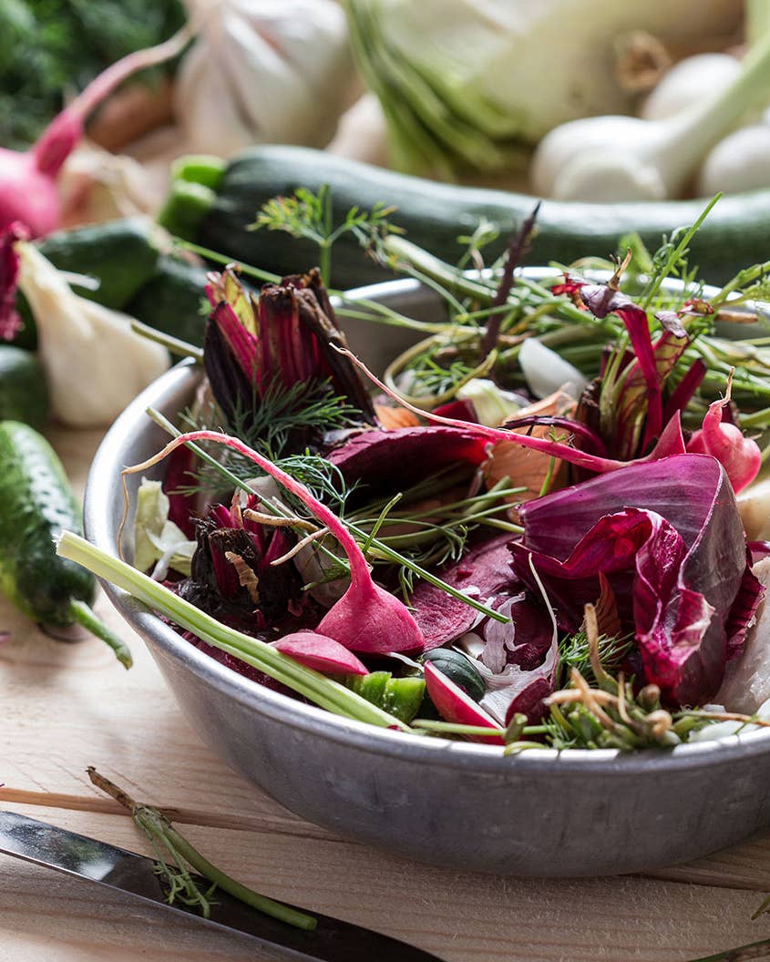 Chefs and Sustainability Experts Share the 7 Best Compost Bins to Reduce Food Waste