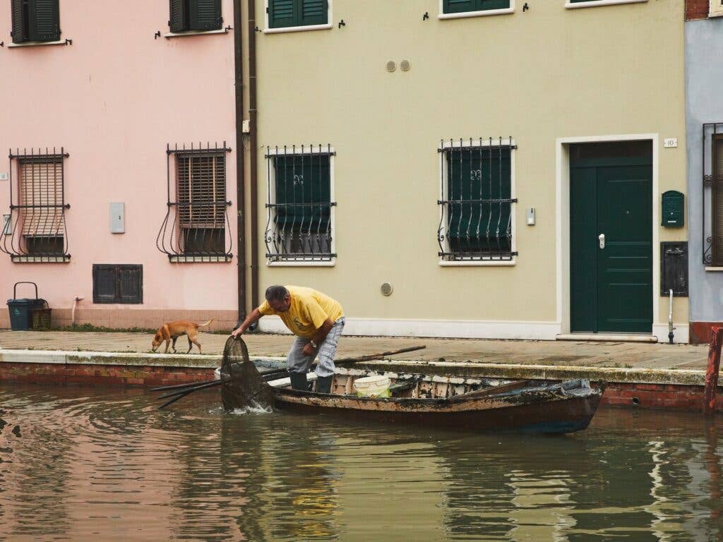 Checking the Traps for Comacchio Eels