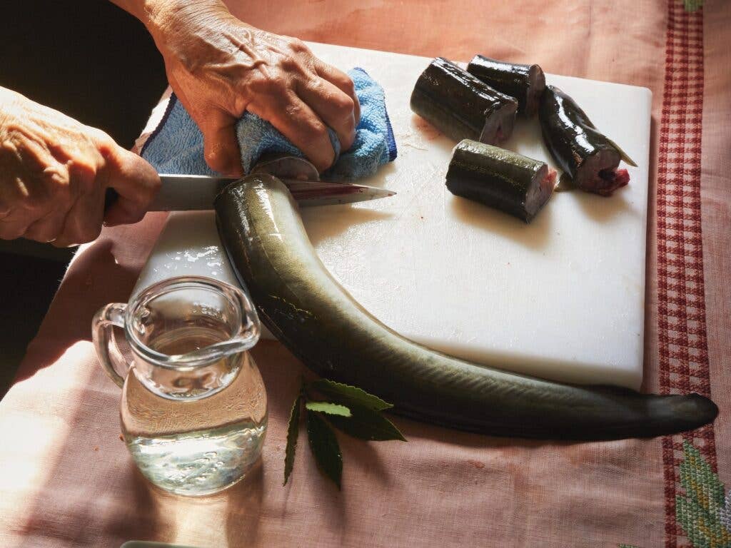 Preparing Eels