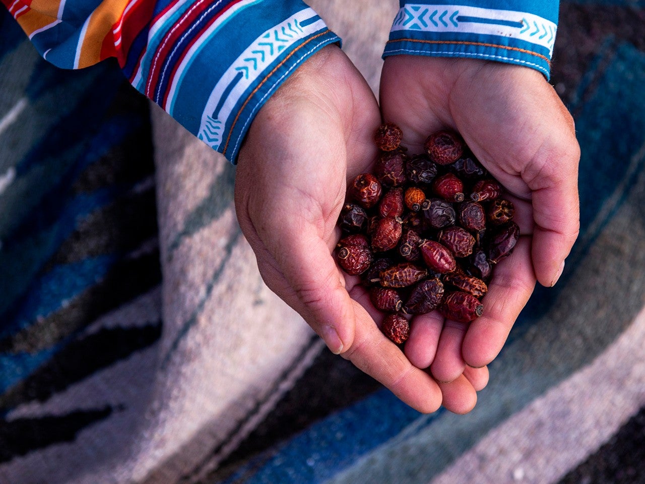 Native American Seed Collective