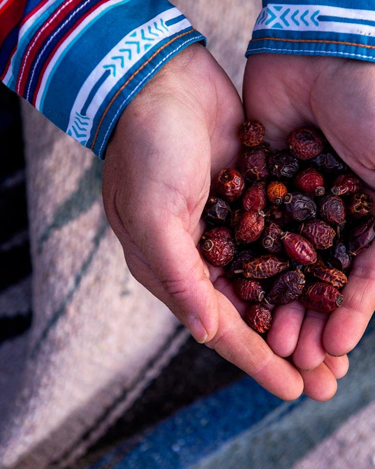 How Indigenous Women Are Sharing Culture Through Seed Rematriation Native American Seed Collective