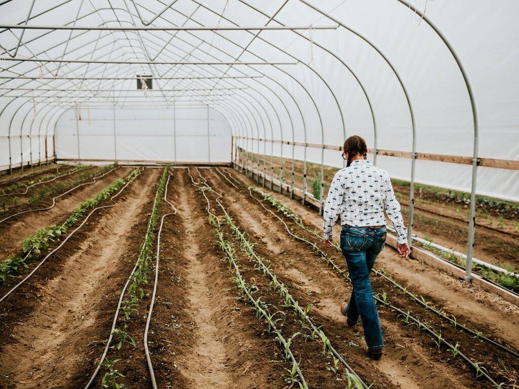 Sakari Farms Greenhouse