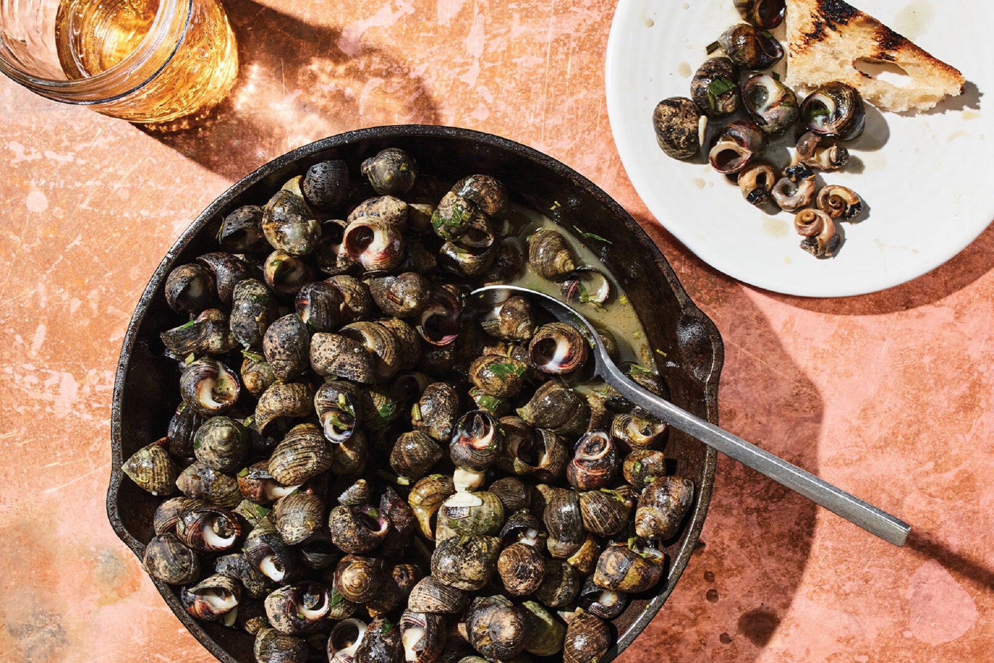 Is Invasive Species Dining The Next Frontier Biology Diagrams