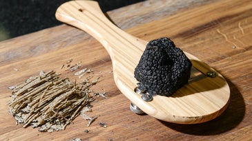 Truffle on Grater