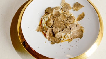 Truffle Risotto with Shaved Truffles