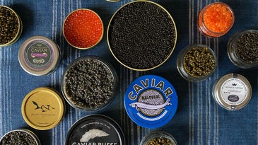 Serving Caviar Feature