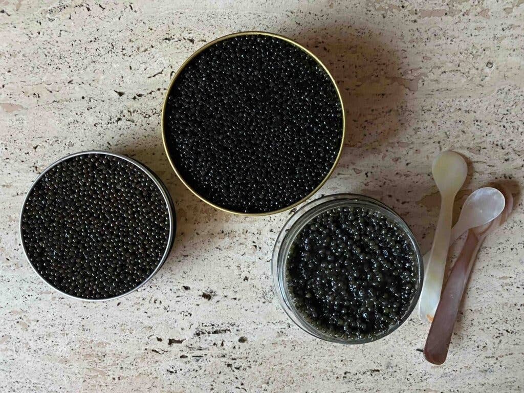 Serving Caviar Various Grades