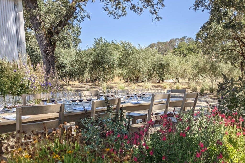 Wine pairing at the dinner table