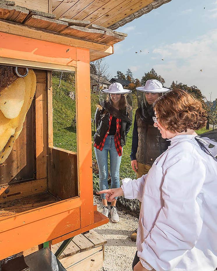 Slovenian Beekping with Orange Beehive