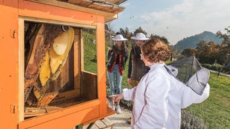 Slovenian Beekping with Orange Beehive