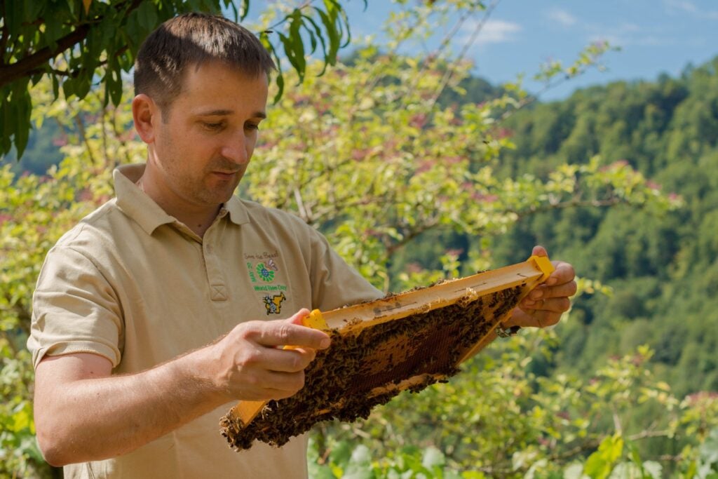 Slovenian Beekping Vice President of Slovenia with Bees