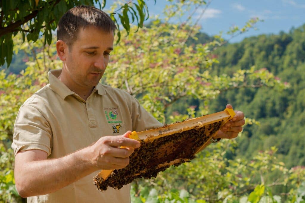 The Secrets of Beekeeping - Slow Food International