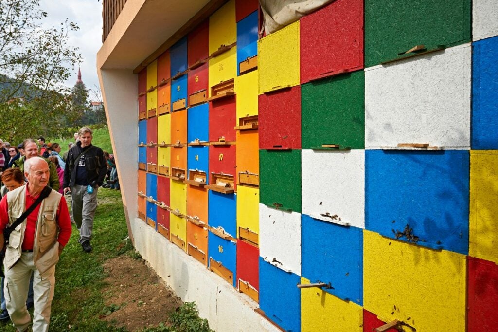 Slovenian Beekeeping with Colorful Beehives