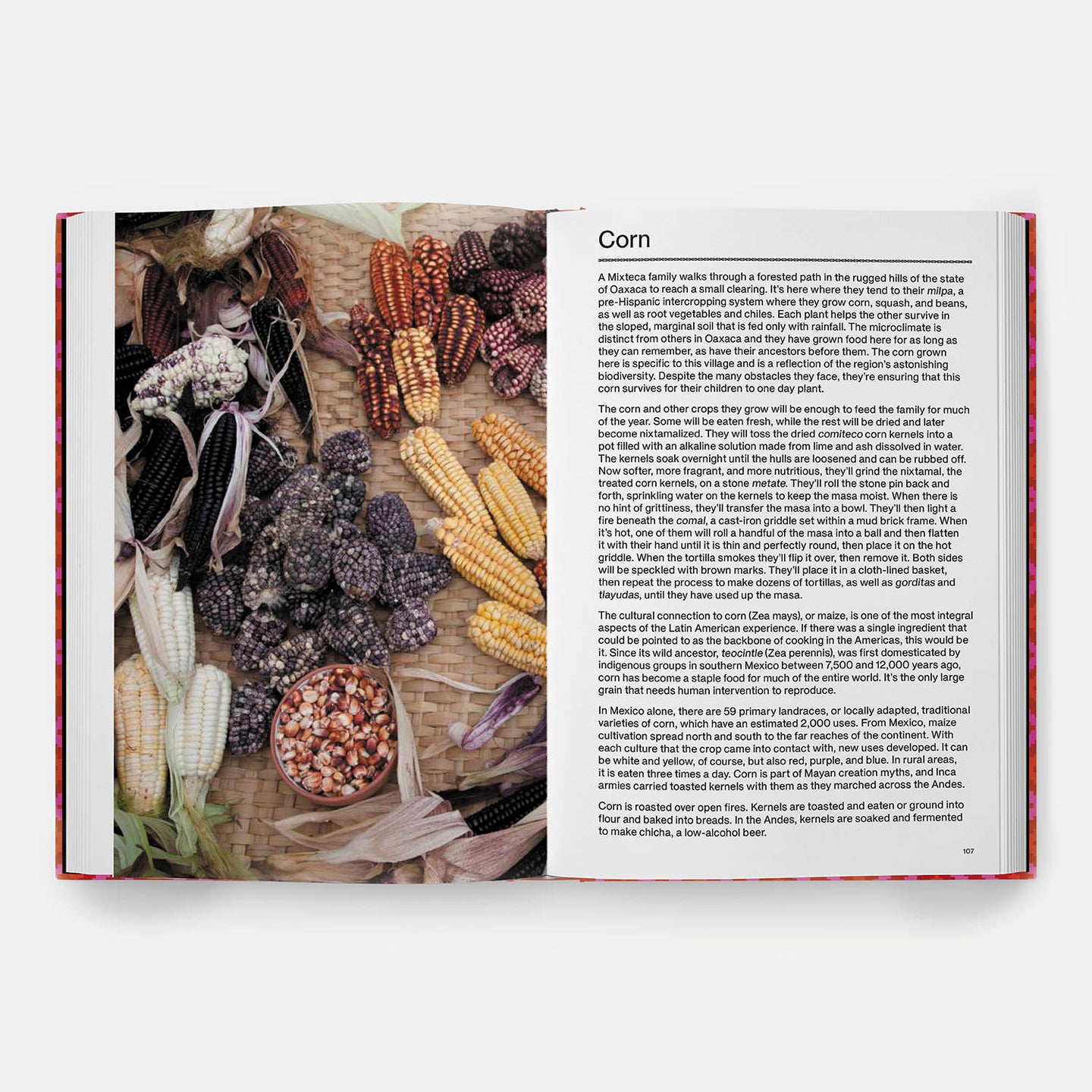 The Latin American Cookbook Spread