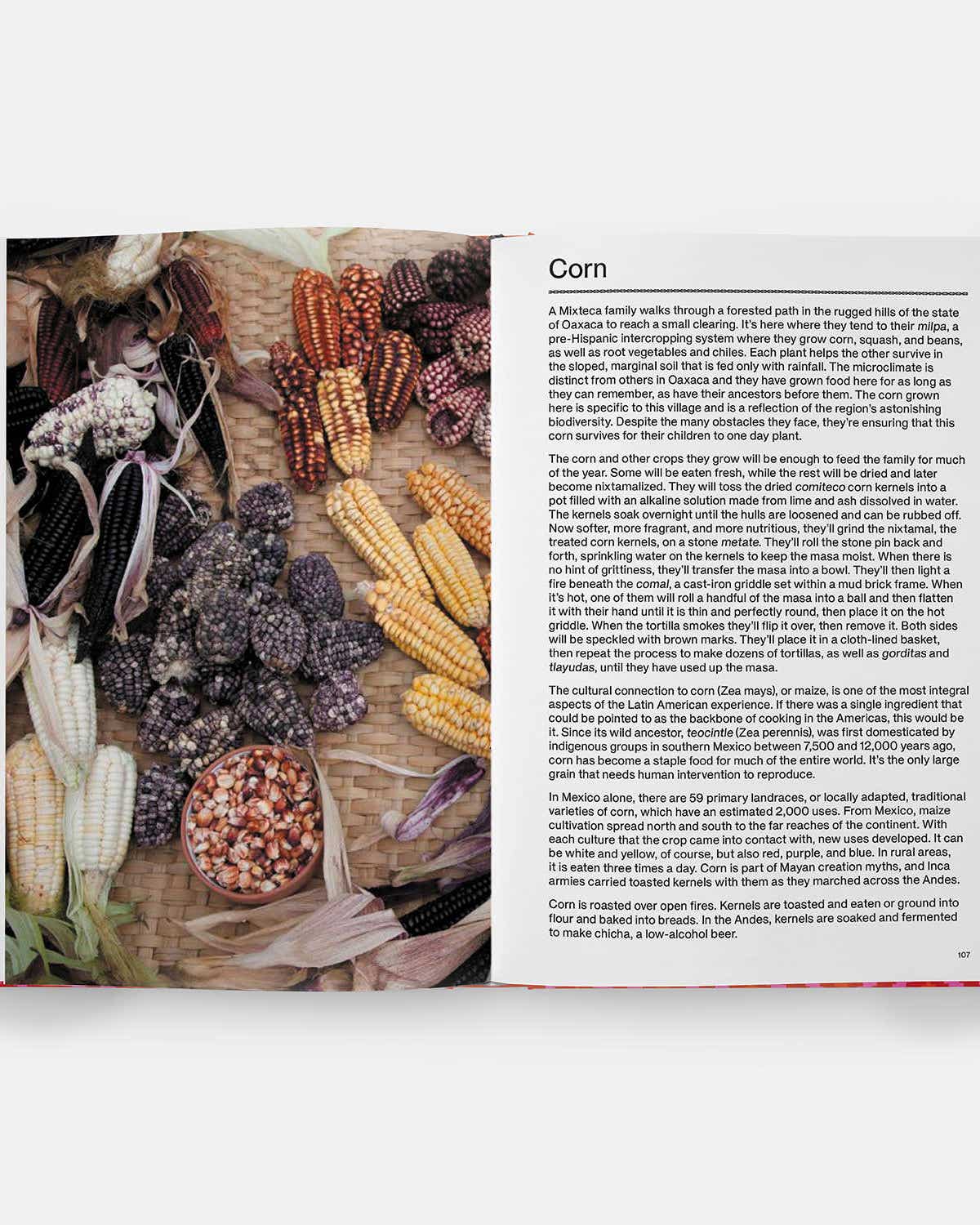 10 Peruvian Pantry Staples That Elevate Everyday Meals The Latin American Cookbook Spread