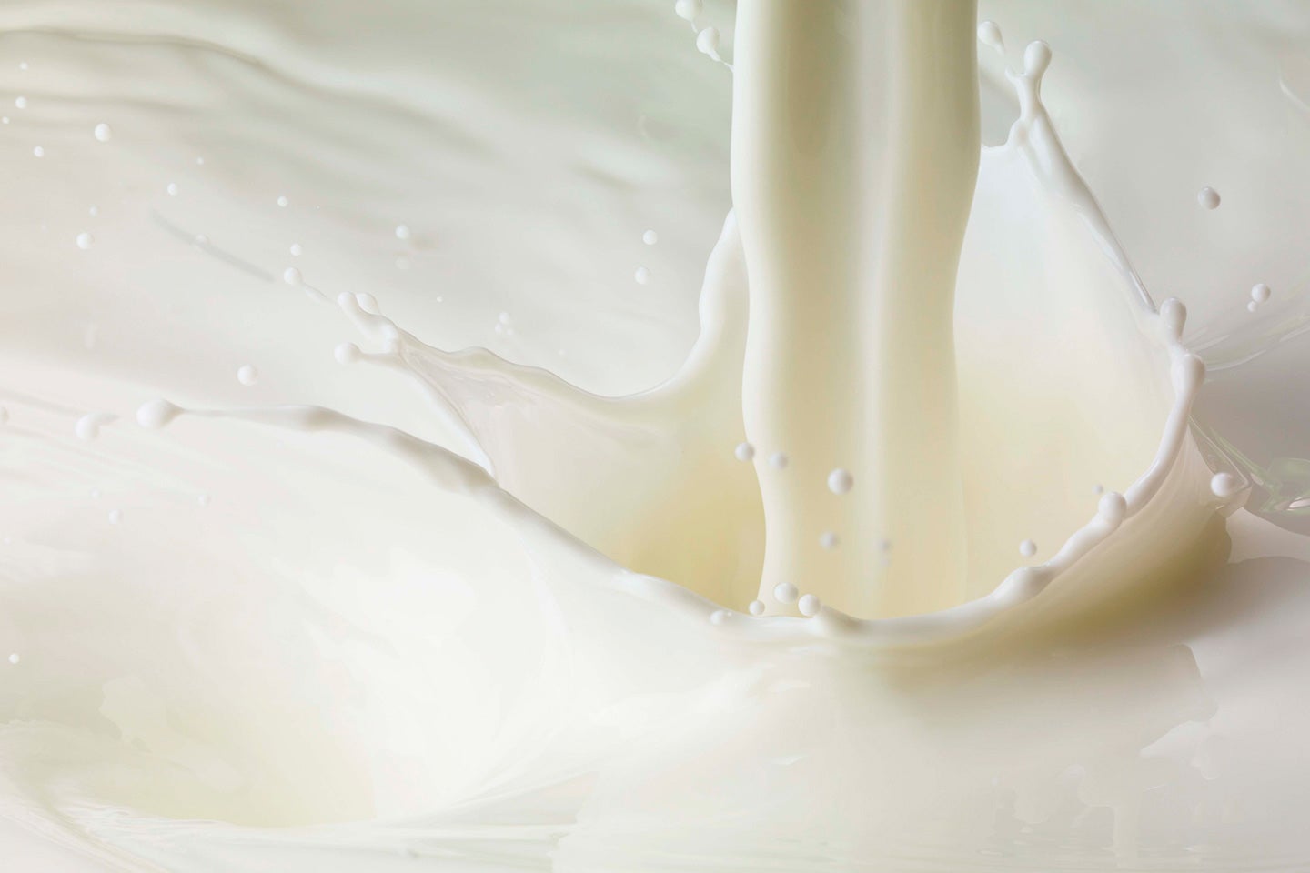 Best Oat Milks