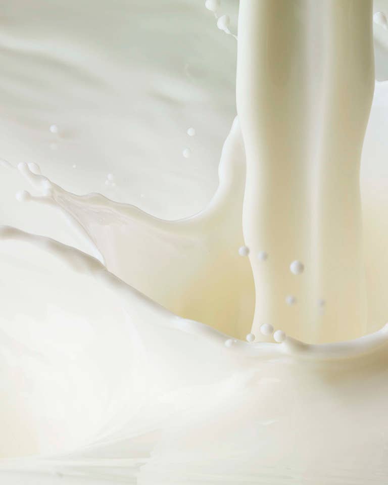 The Best Oat Milks Are Creamy and Versatile