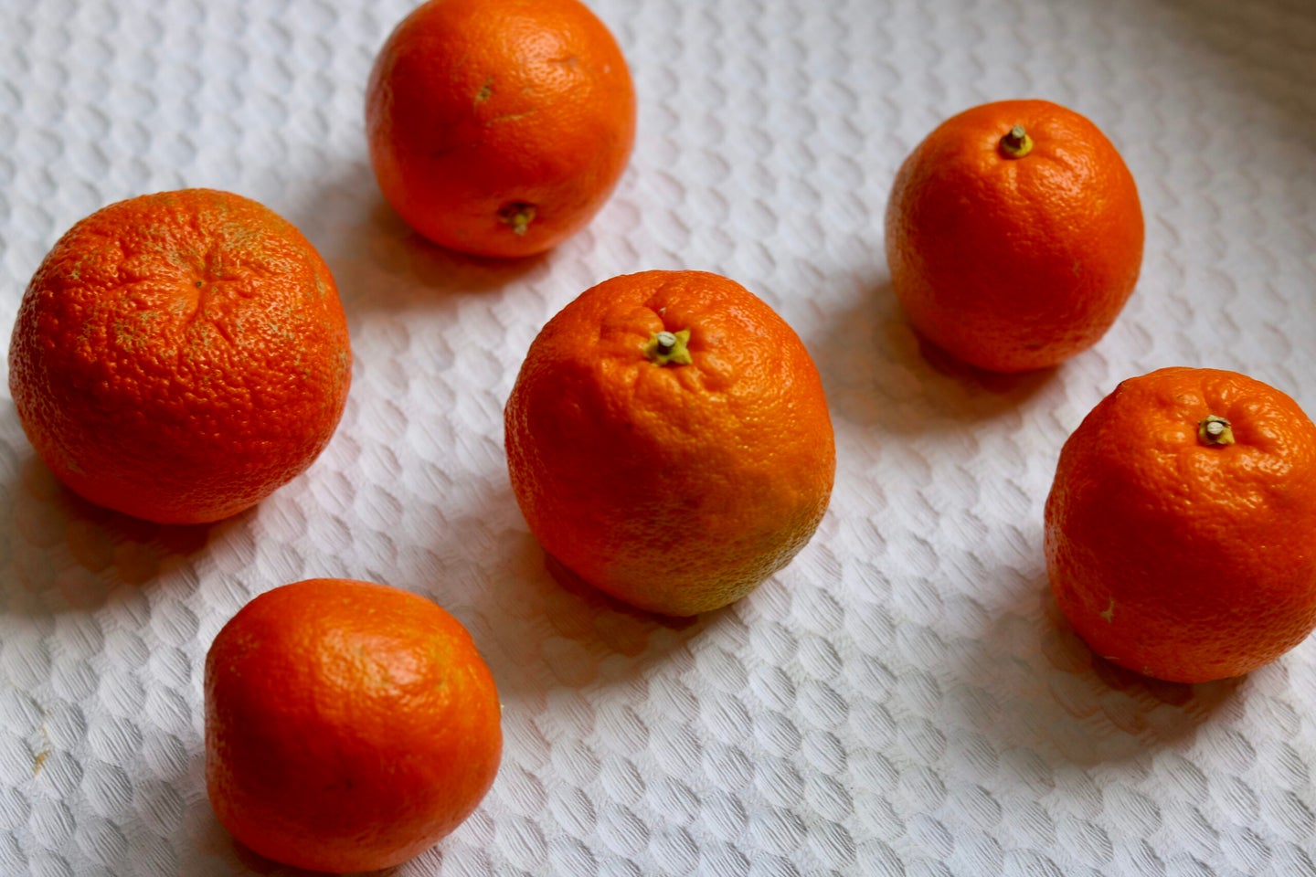 Seville Oranges for Orange Marmalade