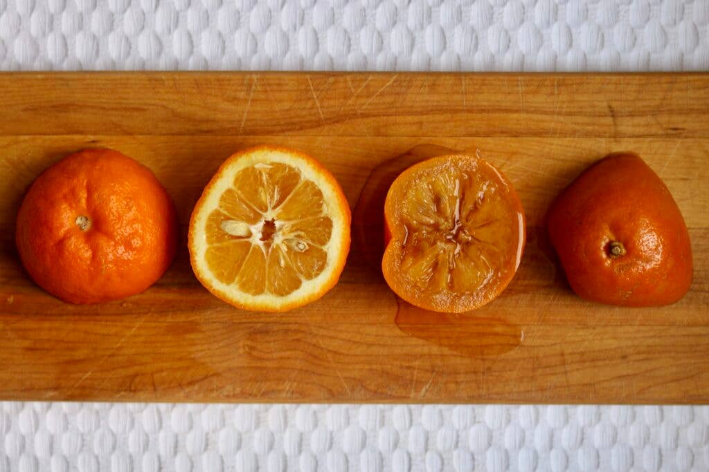 Raw vs Cooked Oranges