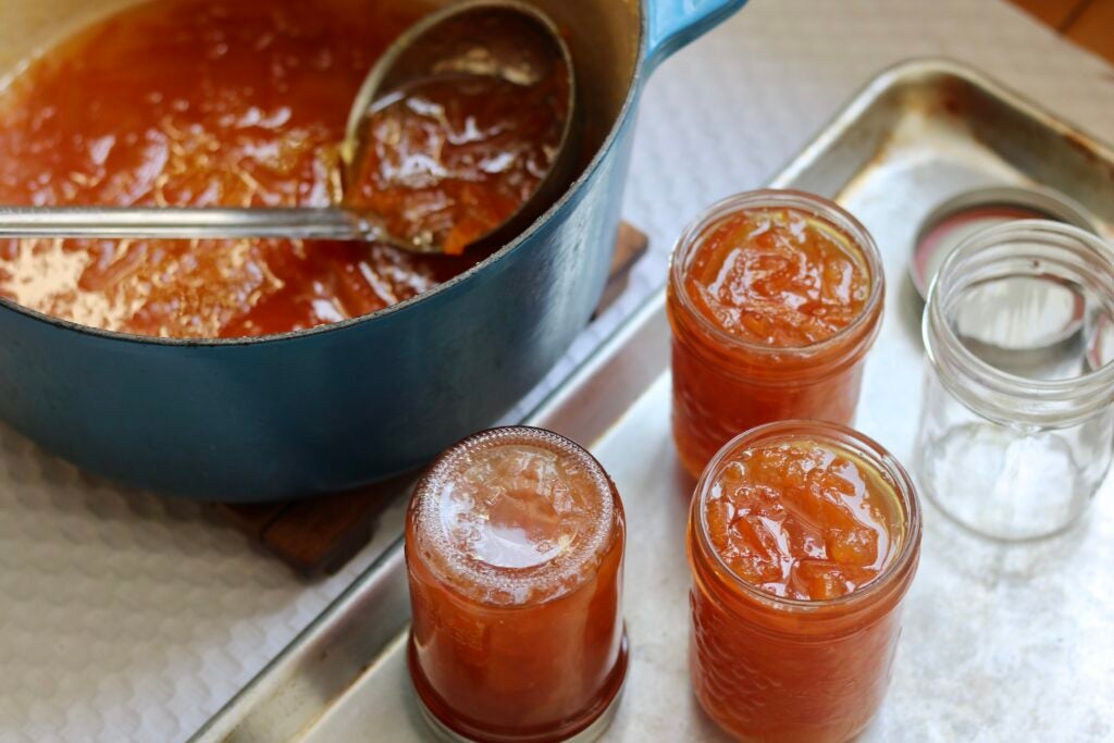 Homemade orange marmalade