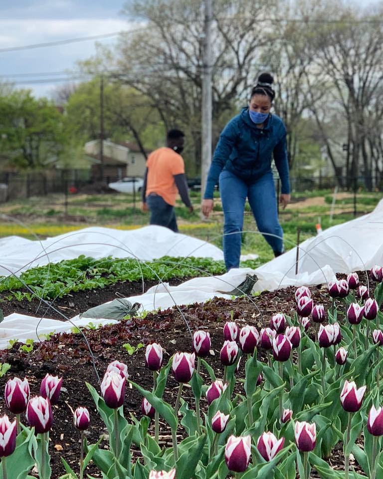 How a Neglected Plot of Land in Chicago Became Part of a Growing Urban Garden Movement Urban Growers Collective garden