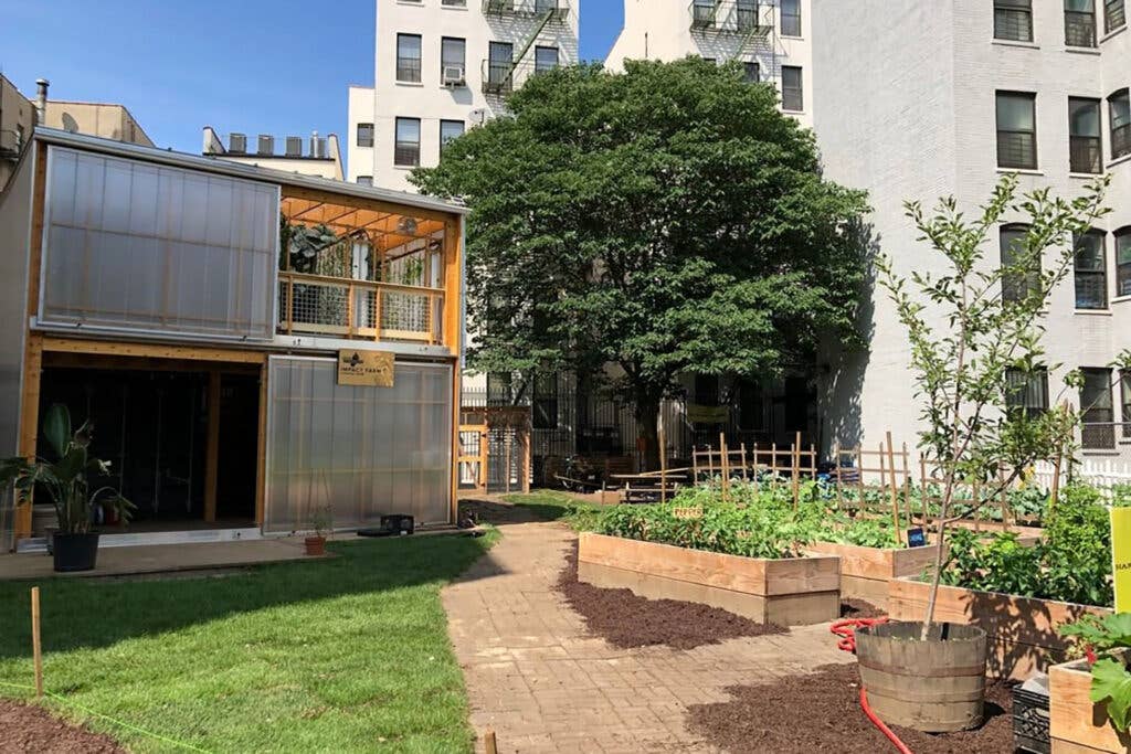 Harlem Grown urban garden