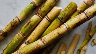 Sugarcane Ingredient on Marble Background