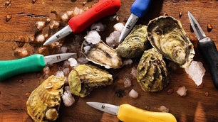 Best Oyster Knives