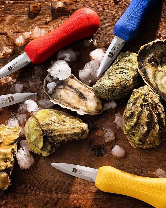 Best Oyster Knives