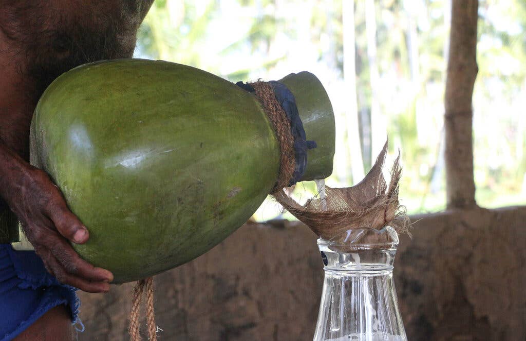 pouring coconut arrack