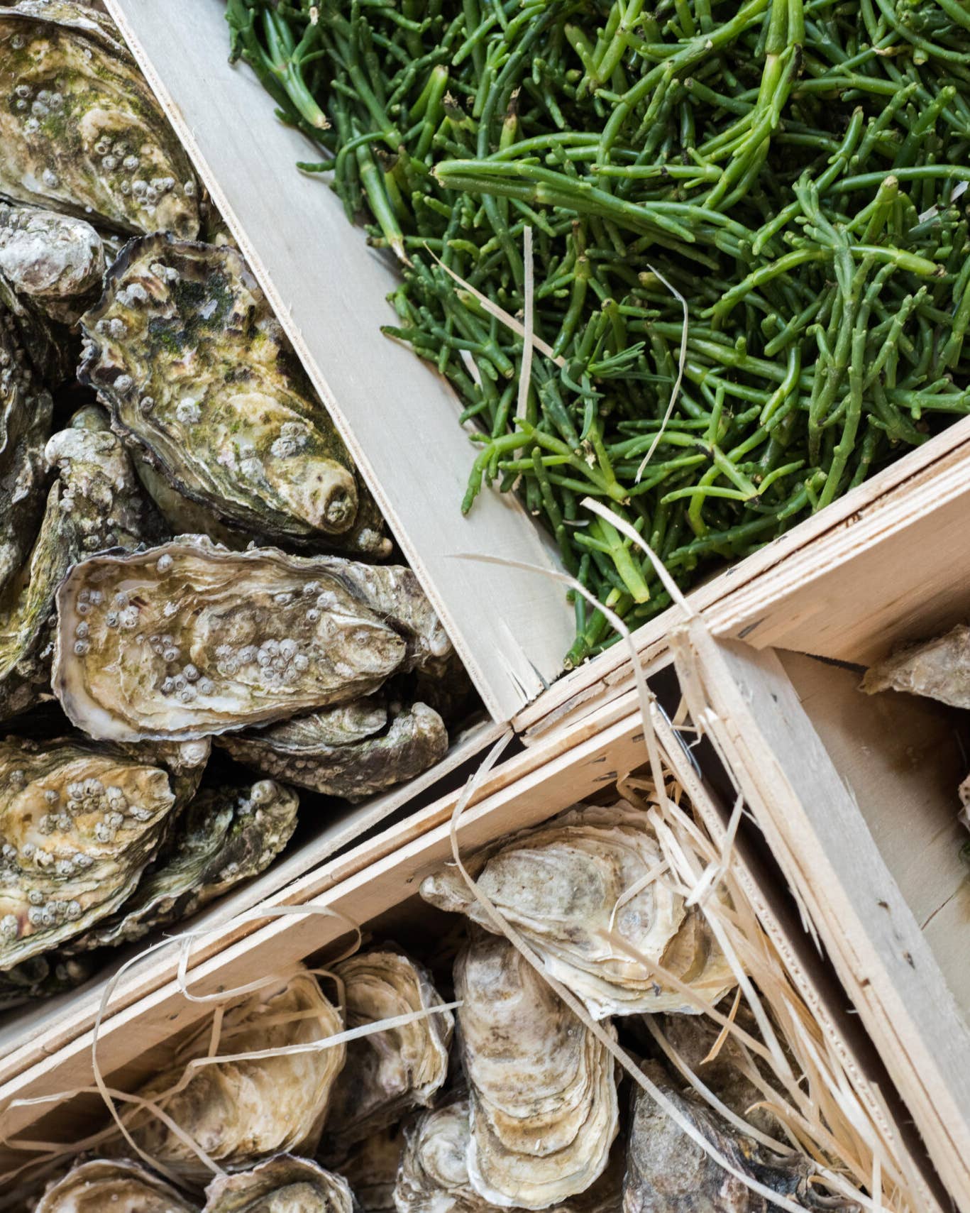 Raw Bar Season is Upon Us—Here’s What 3 French Wine Pros Pair With Their Oysters