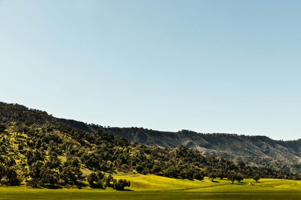 Ojai landscape mountains