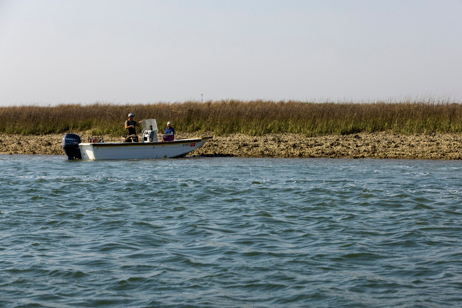South Carolina Wants You To Recycle Your Empty Oyster Shells Saveur