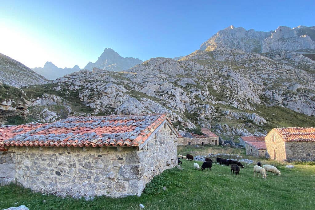 Picos de Europa National Park