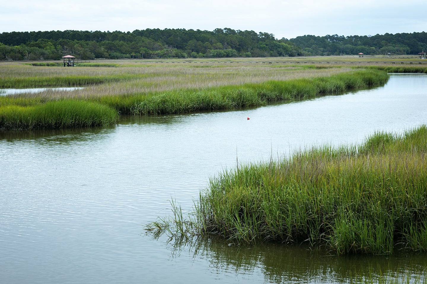 lowcountry waterways