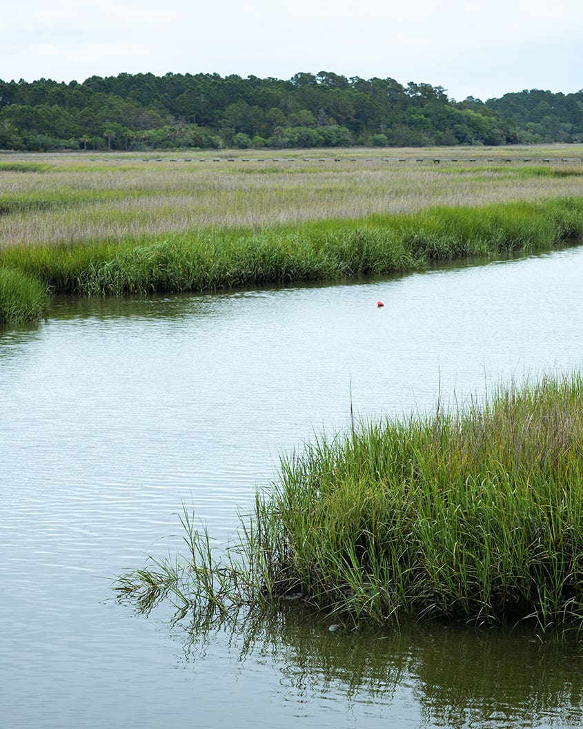 This Matriarch of Gullah Geechee Food Has Been Cooking Farm-To-Table For Decades lowcountry waterways