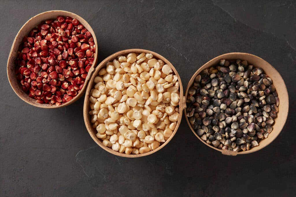 heirloom corn kernels