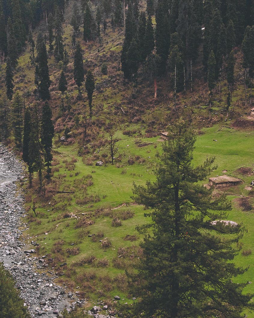 For Chef Romy Gill, the Allure of Kashmir’s Cuisine Was Worth the Epic Journey Kashmir Region Mountains