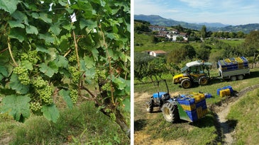 This Basque Winery Is Reinventing Vermouth With a Regional Grape (and Sustainable Methods)