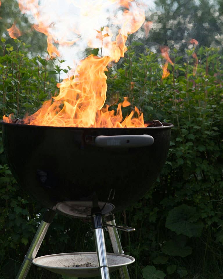 The Best Grill Brands to Take Your Skills Up a Notch
