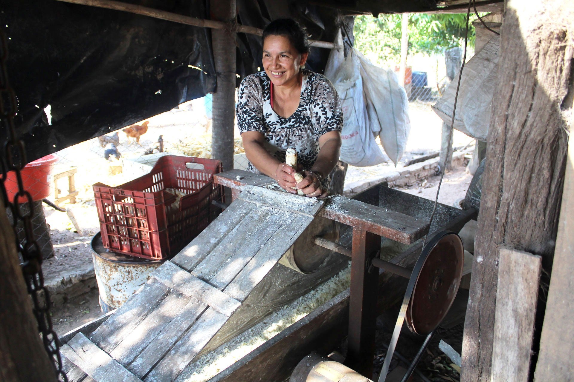 Argentine Chipa Pounding