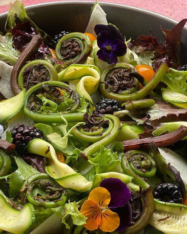 These 4 Indigenous Chefs Are Bringing Native Foods To The Table Indigenous Chefs Chef Crystal Wahpepah