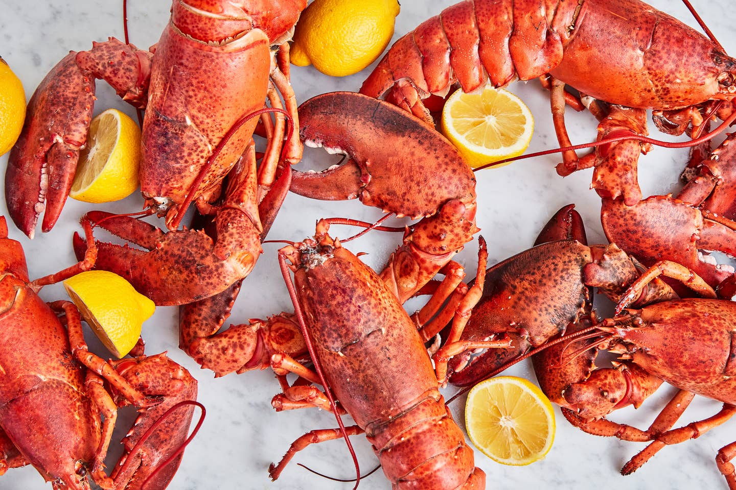 How to Cook Lobster