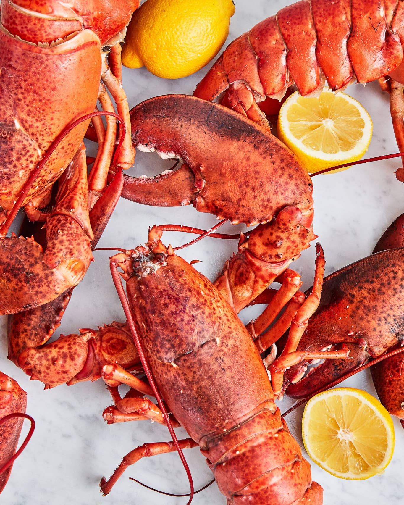 How To Cook a Lobster, According to a Maine Lobsterman